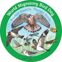 2024 WMBD Profile Image (English & Spanish)