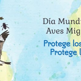 2024 Facebook Banner (English & Spanish)