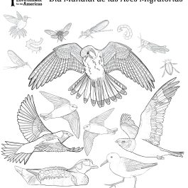 2024 Coloring Page