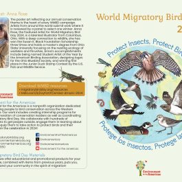 2024 One Pager (English & Spanish)