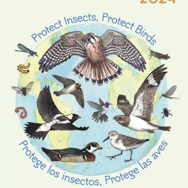 2024 One Pager (English & Spanish)