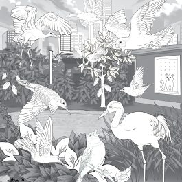 2025 WMBD Coloring Page (Multiple languages)
