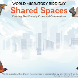 2025 WMBD Event Flyers (Multiple languages)
