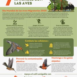 2025 WMBD Infographic (Multiple languages)
