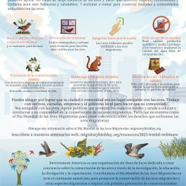 2025 WMBD One Pager (Multiple languages)