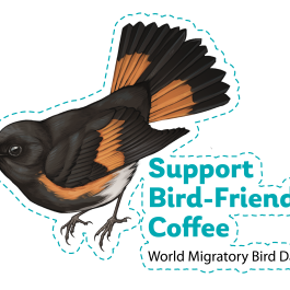 2025 WMBD Bird Images (English)
