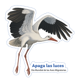2025 WMBD Bird Images (Spanish)