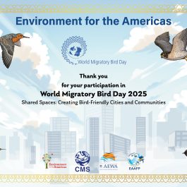 2025 WMBD Participation Certificate (Multiple languages)