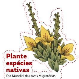 2025 WMBD Bird Images (Portuguese)