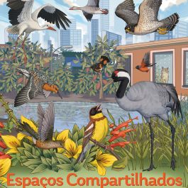 2025 WMBD Poster (Portuguese)