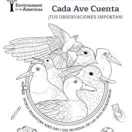 2026 WMBD Coloring Page