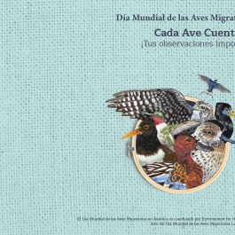 2026 Event Flyers (Spanish)